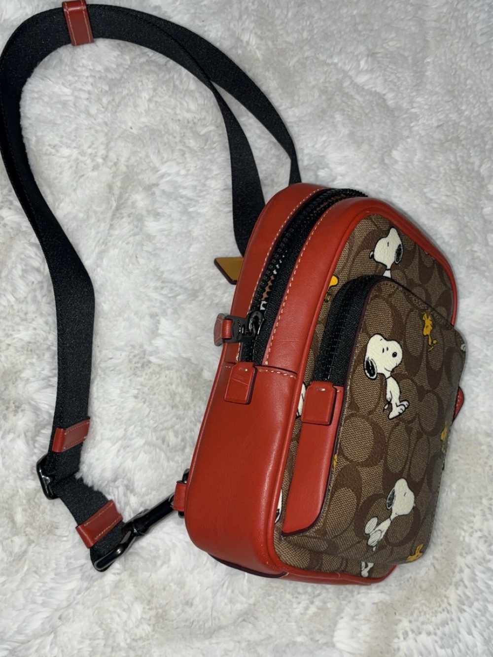 Coach x Peanuts - Picture 4 of 5